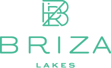 logo-briza